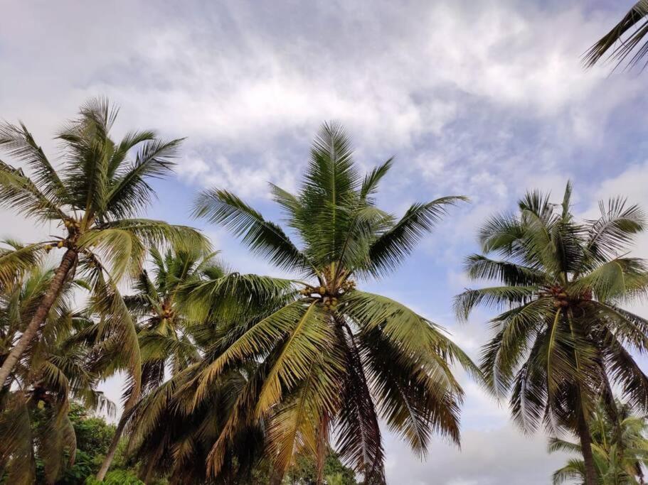 Christa Green View, Bejai, Mangalore Exterior photo